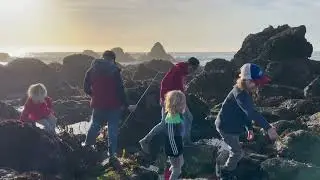 Schoolhouse Beach | Bodega Bay, California | 02/20/2023.