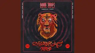 DSNT Rave Tape 015 - Siberian Tigon