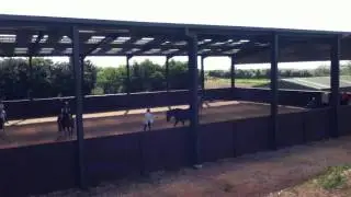 Cannock Chase Trekking centre