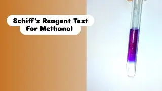 Schiff's Reagent Test For Methanol ✅