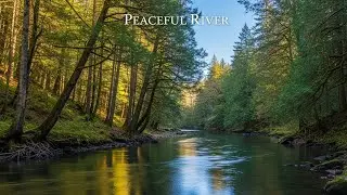 Gentle River Ambience for Insomnia Relief and Peaceful Restful Deep Sleep | 24/7
