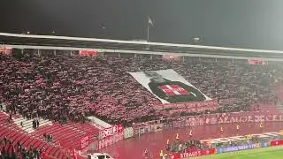 #ULTRAS #CHOREO GOAL BRUNO DUARTE (CRVENA ZVEZDA) vs. FCSB | Europa League