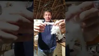 Where and how is Tarndwarncoort yarn processed?