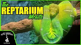 THE REPTARIUM WICHITA! The Coolest Reptile Zoo in the Heartland!