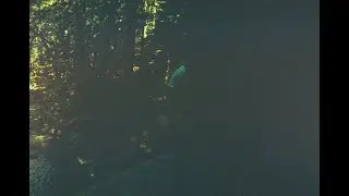 UNMASTERED -- Sounds of the Music Co-op