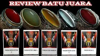Review Batu Pandan Berlabel Juara Ditoko Adhitya Gems Gallery (Rawabening Lantai 1 AKS 090)