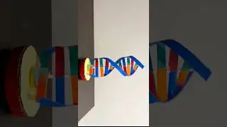 DNA working model with cardboard / 3D DNA Science projects / building a 3D model of DNA/ shorts