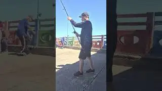 Como eu isco #pescador #fishing #pescasub #pesca #fisherman #fishermen #fisher