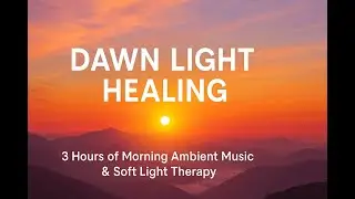 🎵 Dawn Light Healing | 3 Hours of Morning Ambient Music & Soft Light Therapy for Emotional Renewal