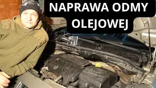 Wymiana membrany odmy separatora oleju Peugeot 1.4 Hdi lub Ford 1.4 Tdci