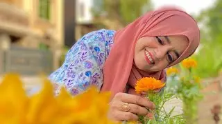 pyari maryam: pyari maryam death | pyari maryam news | pyari maryam last video 