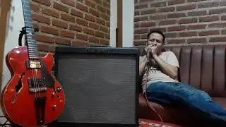fender hot rod deville 410 for harmonica