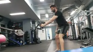 Standing One Arm Cable Row