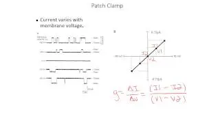Calculating conductance/resistance from patch/current clamp data