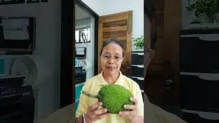 Health Benefits ng Camansi
