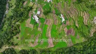 An aerial view of Jatoli village, a rural settlement in the Himalayan state of Uttarakhand