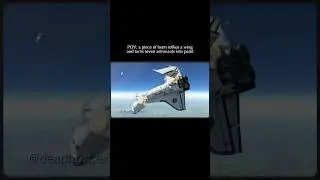 The Columbia Shuttle Disaster