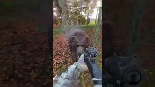 R12 might be the best shotgun
