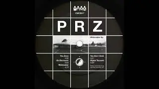 PRZ - Digital Tsunami [CWCS017]