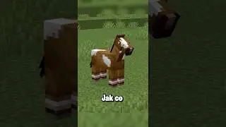 Jak Ochočit Koně v Minecraftu?