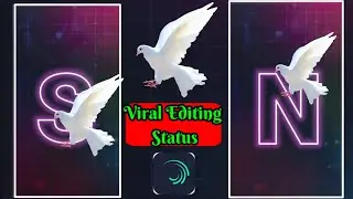 Bird Drawing Name Status Video Editing In Alight Motion(Bangla)||পাখির নাম ড্রইং স্ট্যাটাস ভিডিও