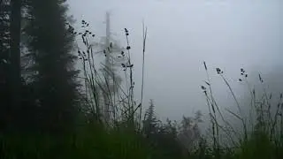 Soft Static - Satellites