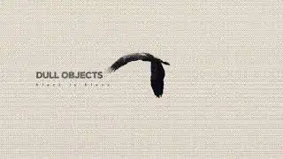 dull objects - dim images |full album|