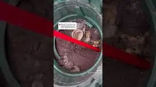 CrustBuster