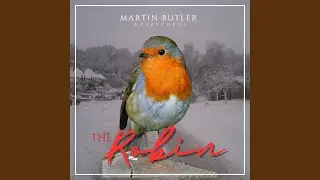 The Robin