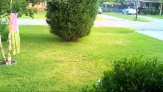 2011 dragonfly static swarm video