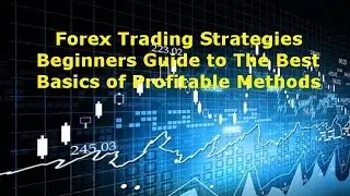 Learn Best Simple Forex Strategies for Beginners That Work
