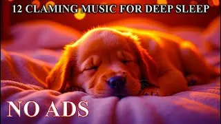 🐶💤 12H Deep Sleep Music for Dogs 🖤 | Dog Sleep Music 💤 Calming Music to Help Dogs Sleep All Night 🌙