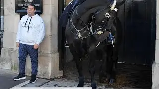 Step over the white line and the guard issues an instant reprimand.