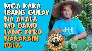Kakaibang mga gulay sa Pilipinas