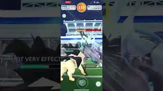 Black Kyurem Solo (Dragon Tail/Iron Head), Snow Weather
