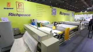 Richpeace Single Head Quilting Machine with Auto Feeding Device