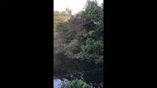 Thattekad Bird Sanctuary