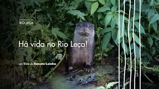 O Rio Leça - Biodiversidade 2022/23
