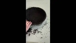 Spiderweb Triple Chocolate Pie