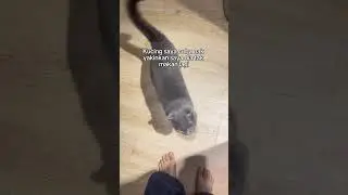 15 штук ему недостаточно😌