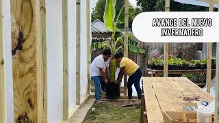 AVANCE DEL NUEVO INVERNADERO SON MUCHAS PLANTAS