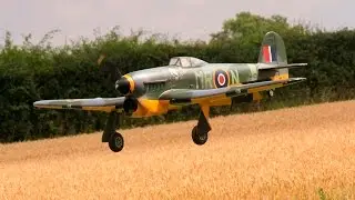 RC 1/5 SCALE WWII HAWKER TYPHOON - DRONE / TARGET TUG - ADAM AT WILLIS WARBIRDS MEET - 2015