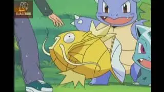 A Shiny Magikarp appeared! ( Golden)