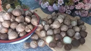 Rahasia Bikin Bawang Hitam dari Bawang Putih Tunggal | Cuma Pakai Rice Cooker & Tisu!