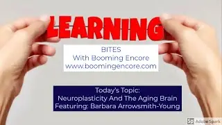 Neuroplasticity And The Aging Brain