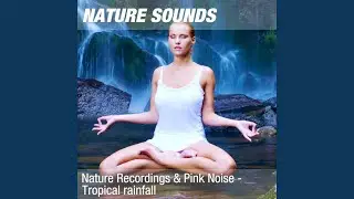 Nature Sounds for Sleeping & Calming the Mind (Light rainforest rain & thunder) 13