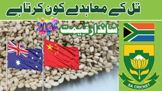 🔥International Sesame Agreement | Australia , USA , Pakistan | Sesame price today | Till rate 2026