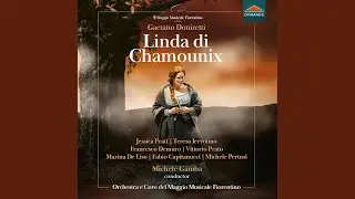 Linda di Chamounix, A. 62, Act II Scene 7: No, non è ver... mentirono