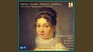 Symphonie concertante pour clarinette, basson et orchestre in B-Flat Major: I. Allegro