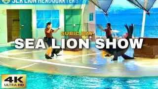 Sea Lion Show Experience | Subic bay| Ocean Adventure #subicbay #oceanadventure